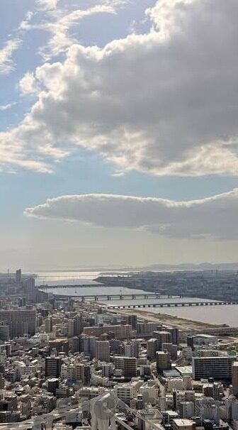 竞猜足球及时比分-竞猜足球及时比分,激情与智慧的碰撞,球迷的狂欢盛宴