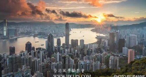 足球即使时比分网-探秘足球即时比分网,球迷的数字战场与信息盛宴