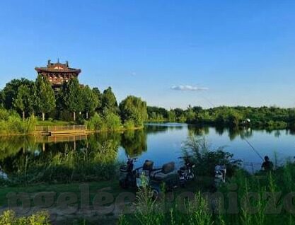 足球主客比分-足球主客比分,隐藏在数字背后的战术密码与情感波澜